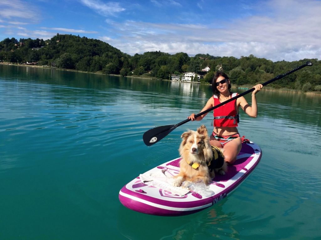 faire du paddle avec son chien