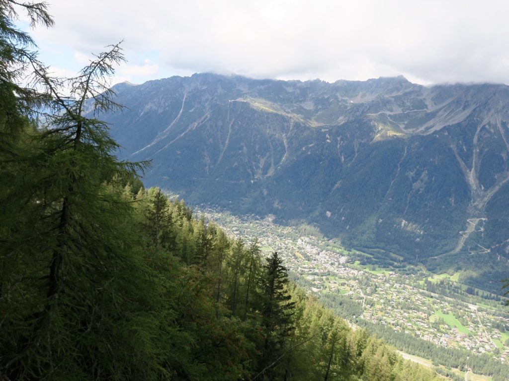 Chamonix et sa vallée 