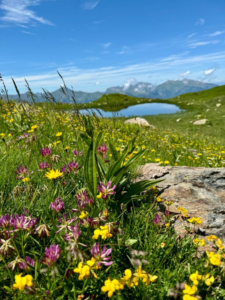 les Alpages de La Tuile