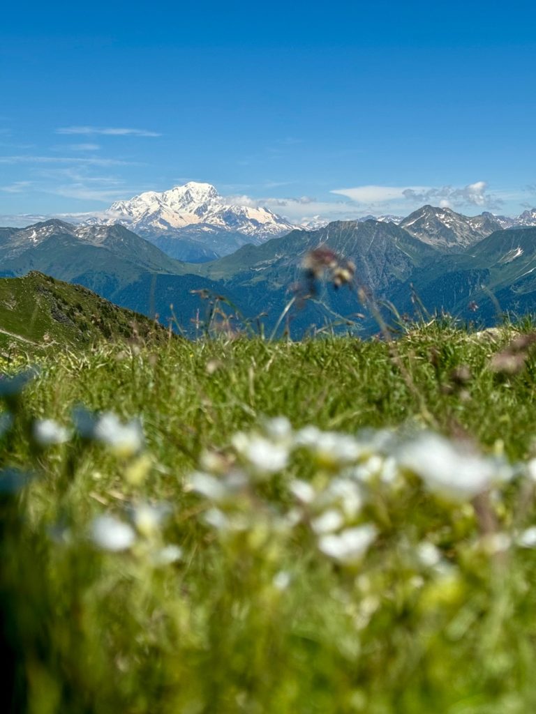 les Alpages de La Tuile