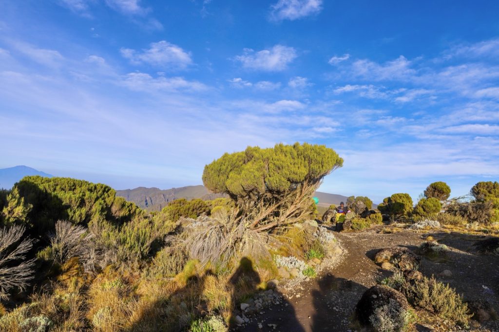 montée vers Lava Tower 