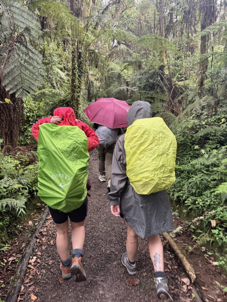 Marchons sous la pluie