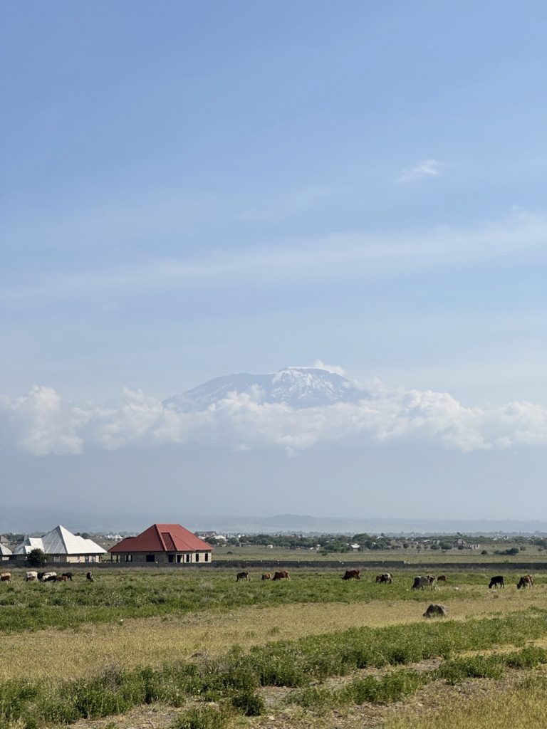 Le Kilimandjaro