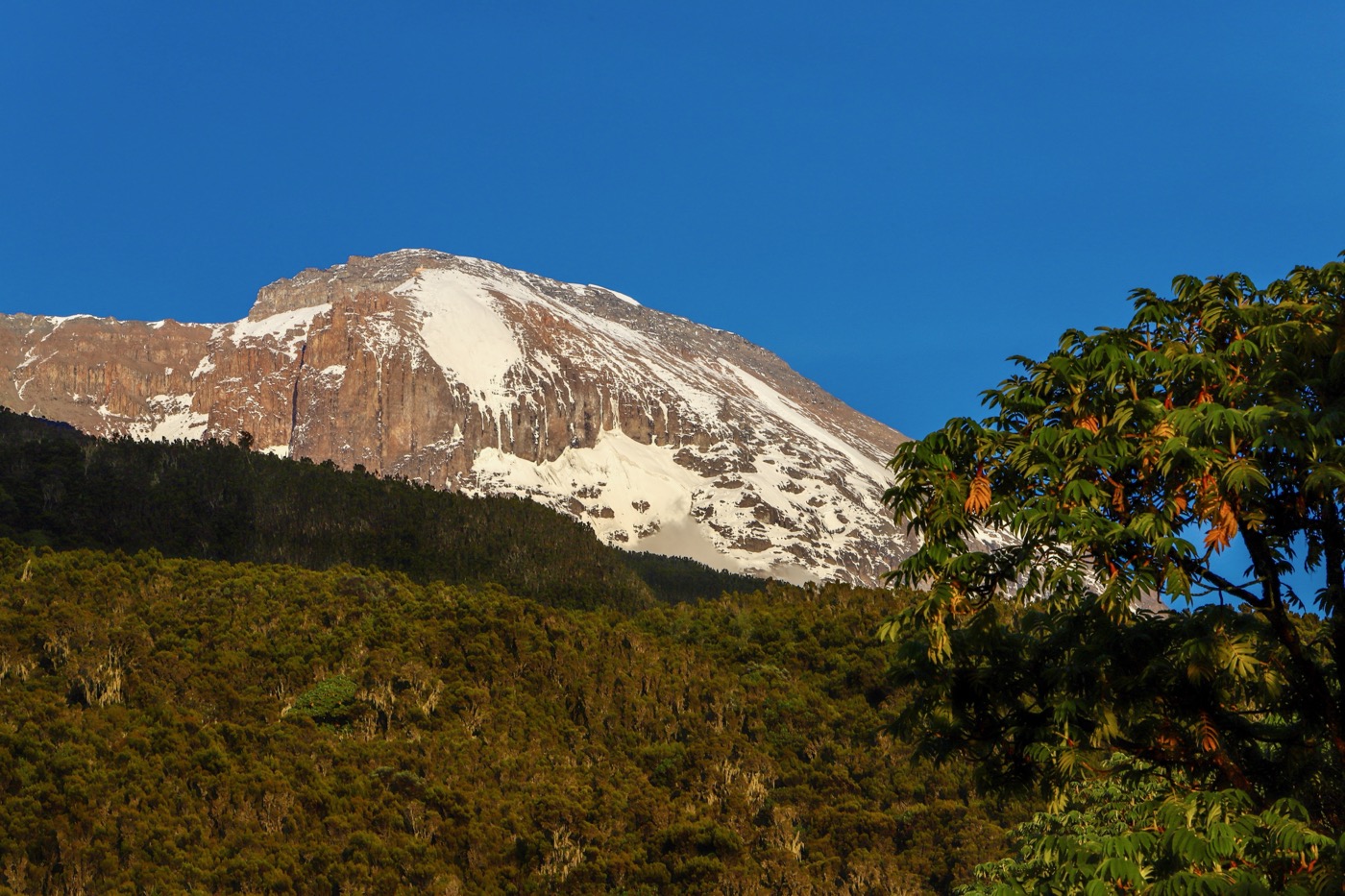 Machame Camp