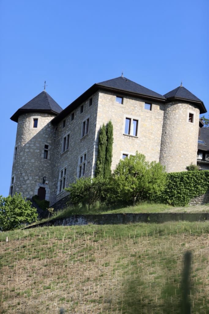 Château de Monterminod