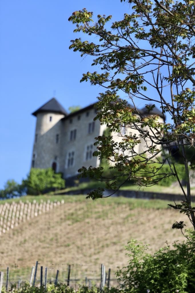 Château de Monterminod