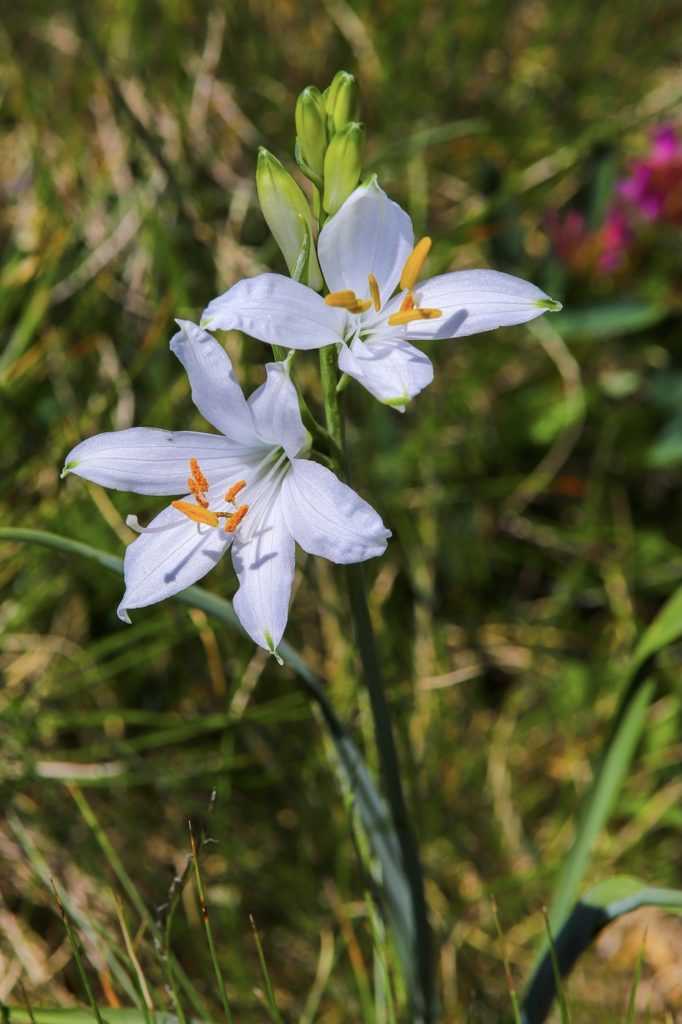 une journée en connexion avec la nature 