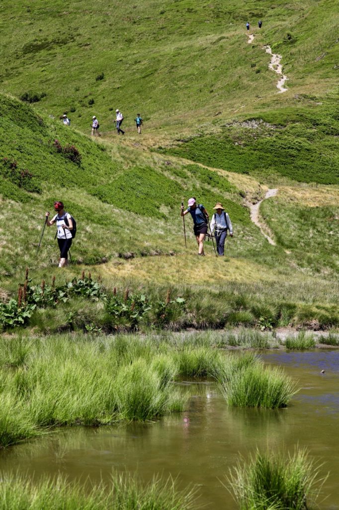 une journée en connexion avec la nature 
