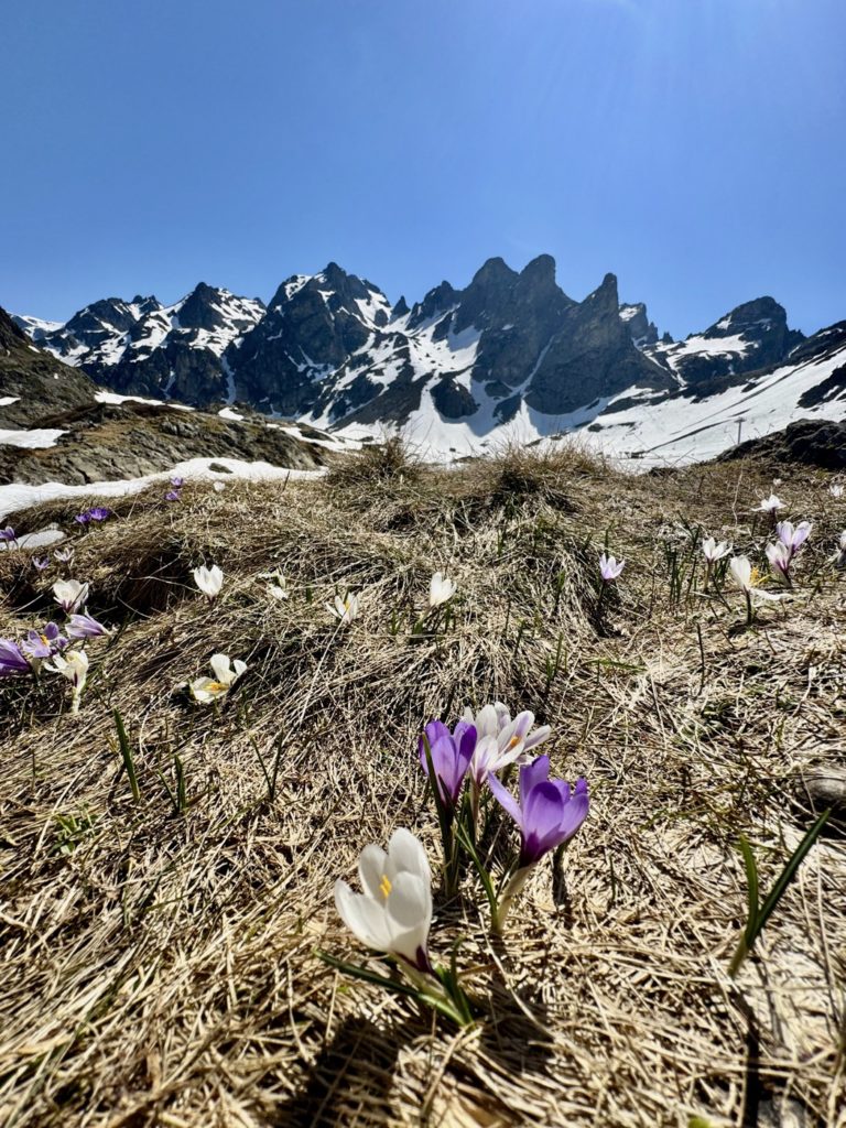 les lacs Robert au printemps 